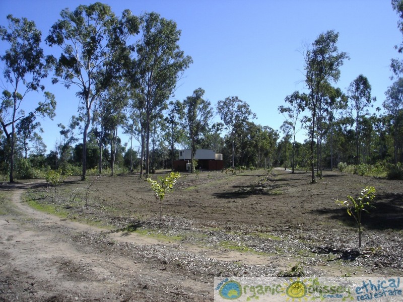 Oyster Creek QLD 4674