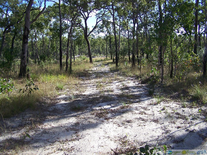 Mount Maria QLD 4674