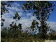 Mount Maria QLD 4674