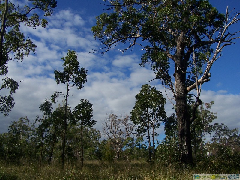 Mount Maria QLD 4674