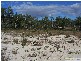 Mount Maria QLD 4674