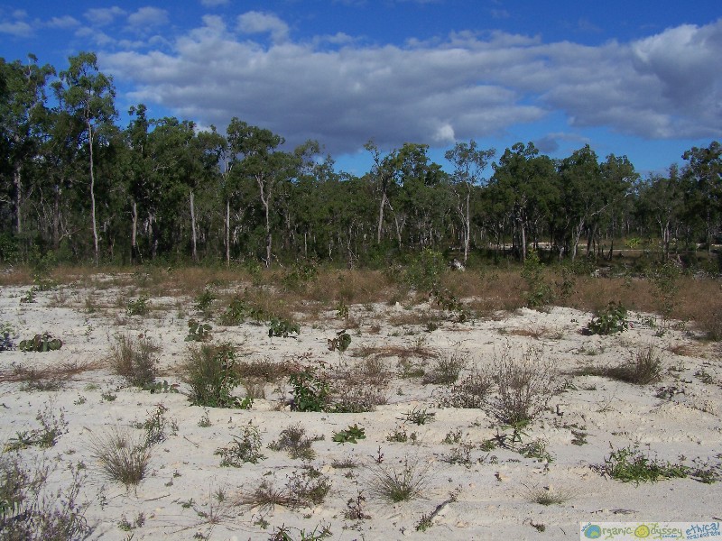 Mount Maria QLD 4674