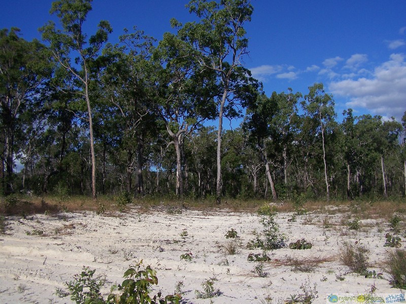 Mount Maria QLD 4674