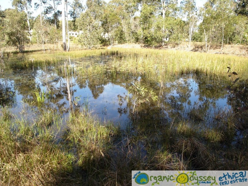 Baffle Creek QLD 4674