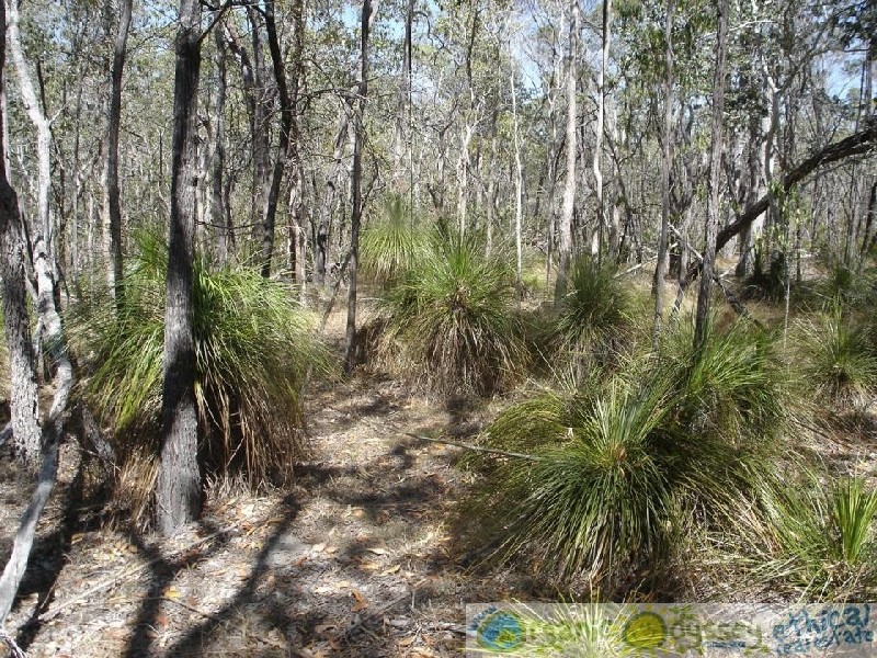 Baffle Creek QLD 4674