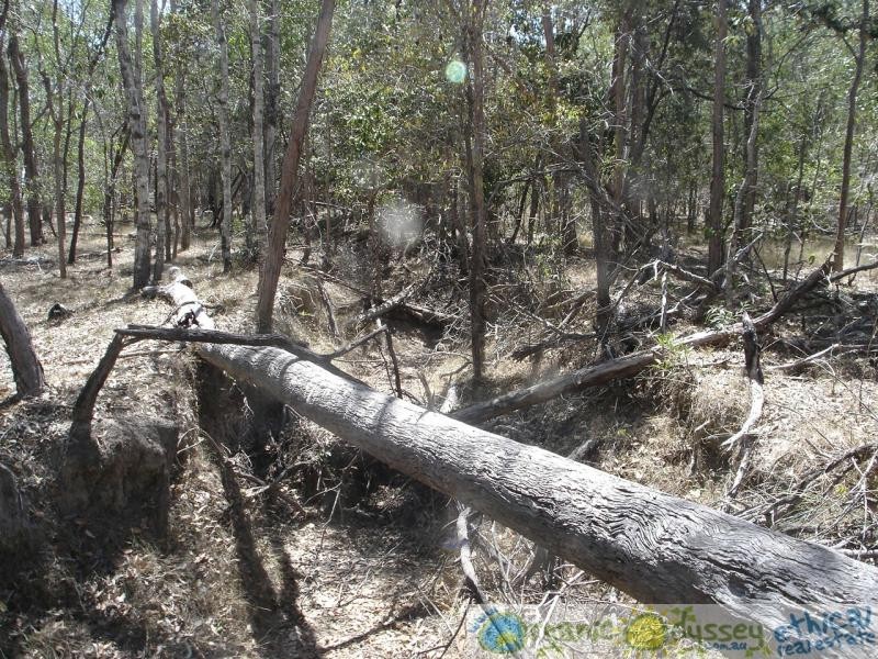 Baffle Creek QLD 4674