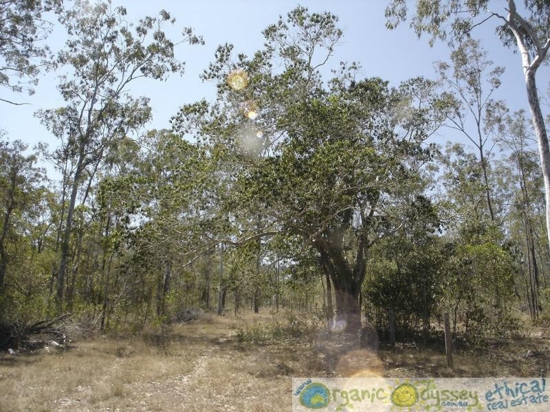 Baffle Creek QLD 4674