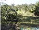 Lowmead QLD 4676