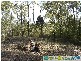 Lowmead QLD 4676