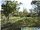 Lowmead QLD 4676