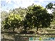 Lowmead QLD 4676