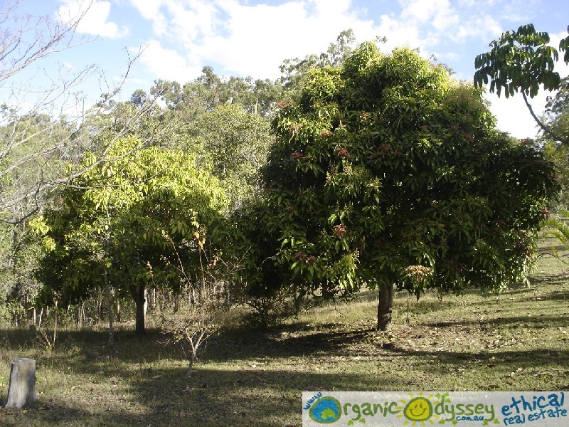 Lowmead QLD 4676