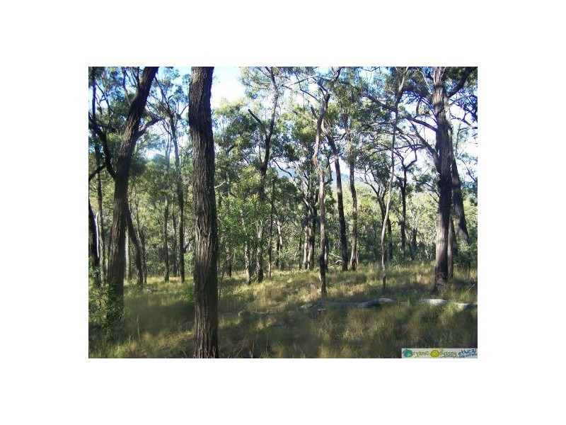 Captain Creek QLD 4677