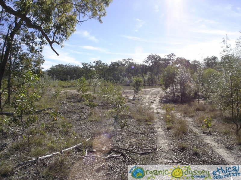 Deepwater QLD 4674