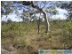 Deepwater QLD 4674
