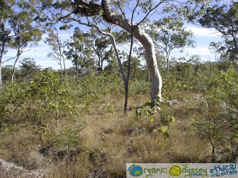 Deepwater QLD 4674