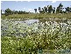 Rosedale QLD 4674