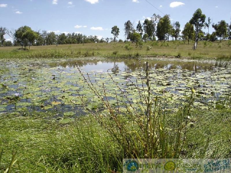 Rosedale QLD 4674
