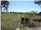 Rosedale QLD 4674