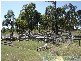 Rosedale QLD 4674