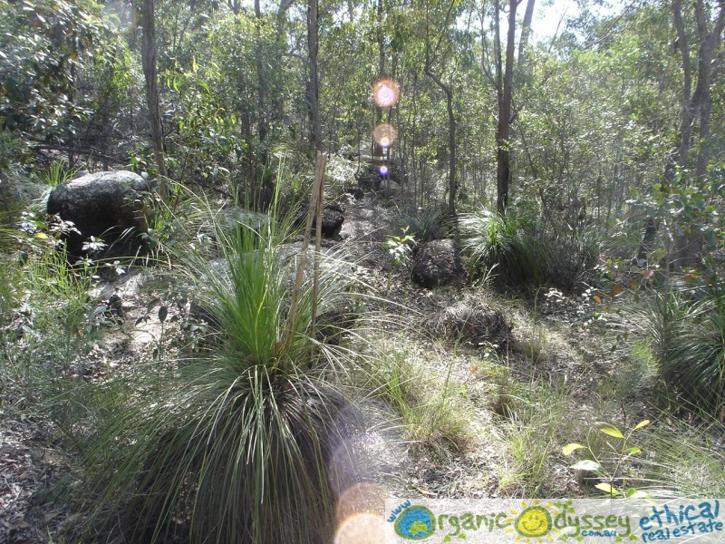 Mount Maria QLD 4674