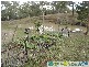 Rosedale QLD 4674