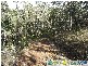 Rosedale QLD 4674