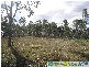 Rosedale QLD 4674