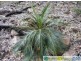 Gin Gin QLD 4671