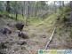 Gin Gin QLD 4671