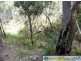 Gin Gin QLD 4671
