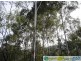 Gin Gin QLD 4671