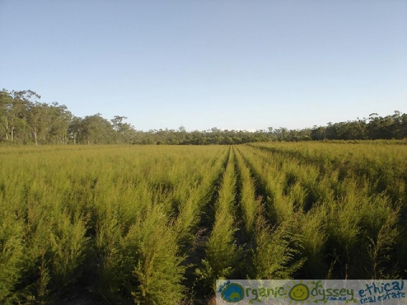 Winfield QLD 4670