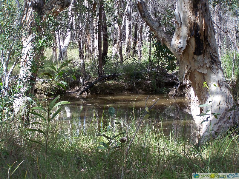 Captain Creek QLD 4677