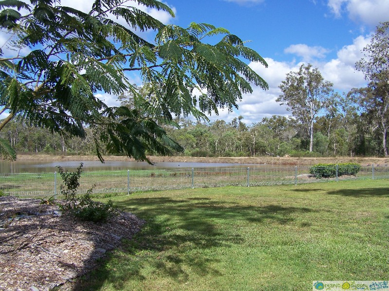 Captain Creek QLD 4677