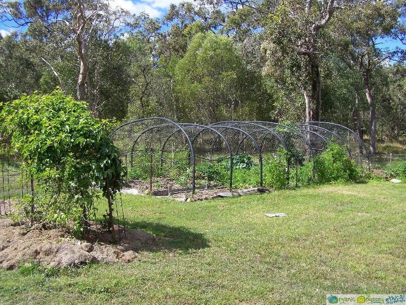 Captain Creek QLD 4677