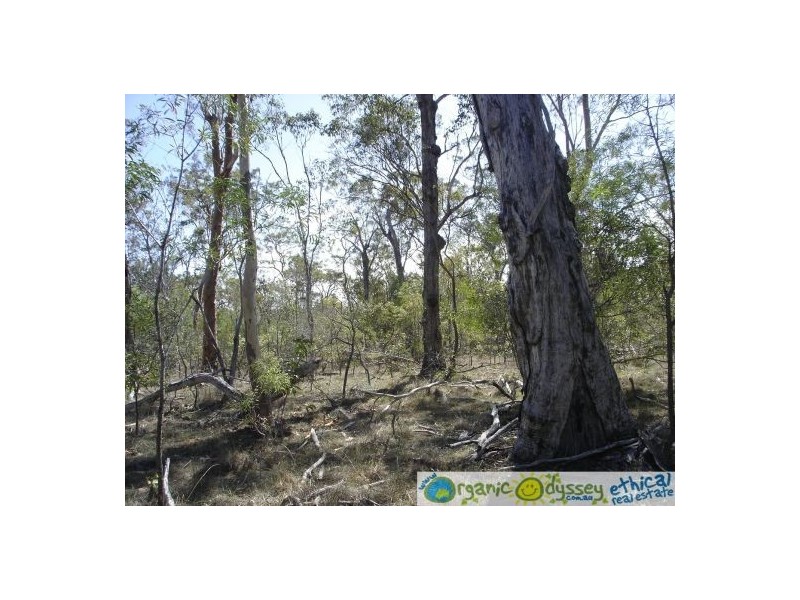 Lot 55 Coast Road, Baffle Creek QLD 4674