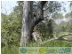 Taunton QLD 4674