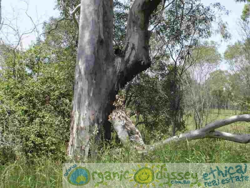 Taunton QLD 4674
