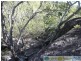 Lowmead QLD 4676