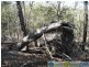 Lowmead QLD 4676