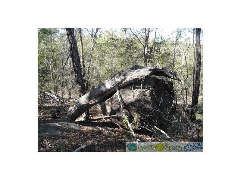 Lowmead QLD 4676