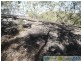 Lowmead QLD 4676