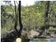 Lowmead QLD 4676