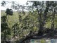 Lowmead QLD 4676
