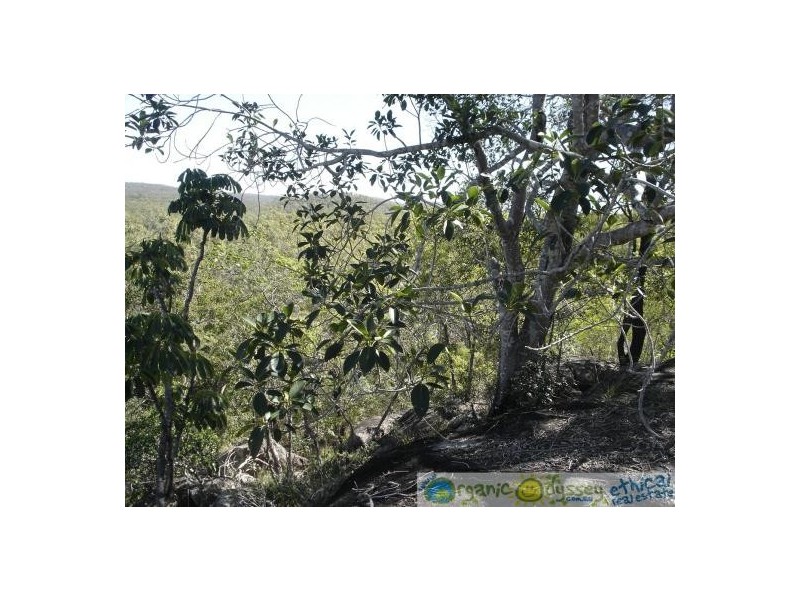 Lowmead QLD 4676