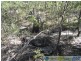 Lowmead QLD 4676