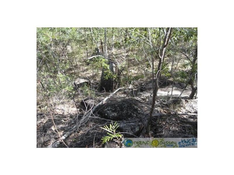 Lowmead QLD 4676