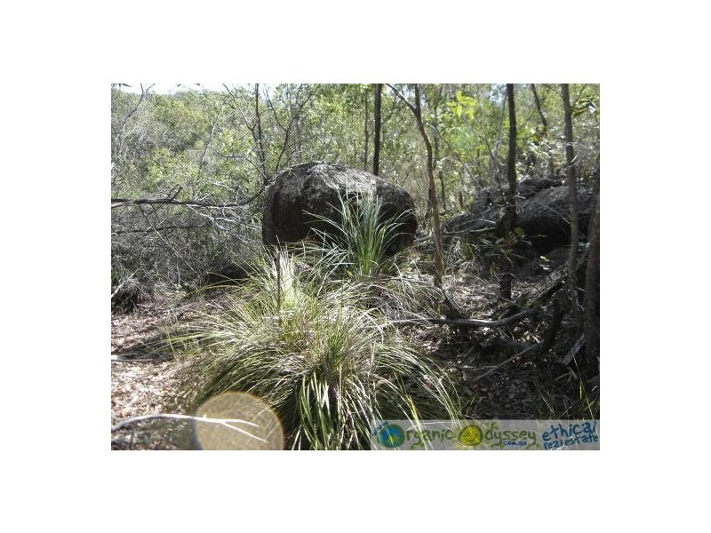 Lowmead QLD 4676