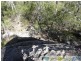Lowmead QLD 4676